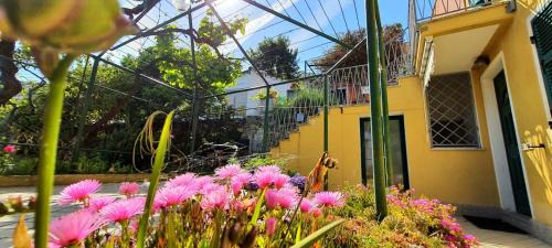 Torre del Mare Apartamento | Villa Mimosa
