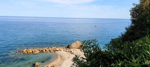 Torre del Mare Apartamento | Villa Mimosa