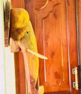 Thihagoda Villa | Villa Monastero Matara