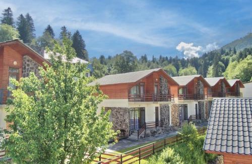 Bakuriani Hotel | Villa Mtashi