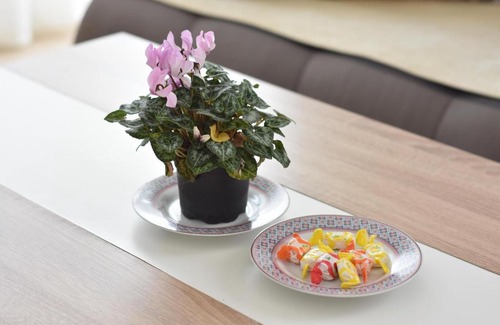 Novi Beograd Apartamento | Villa My Garden FREE PARKING