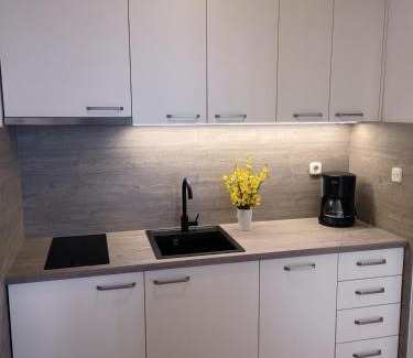 Mimice Apartamento | Villa Noa Mimice