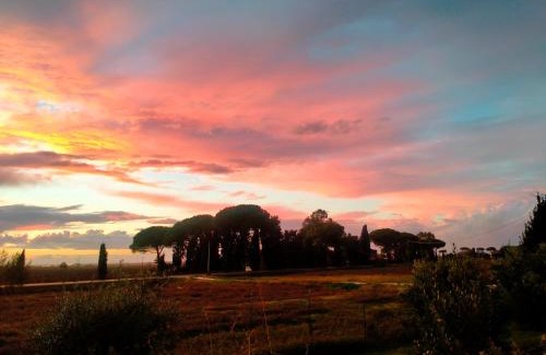 Collesalvetti Apartamento | Villa Novi Tuscany