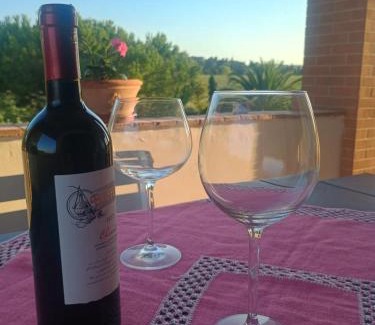 Collesalvetti Apartamento | Villa Novi Tuscany