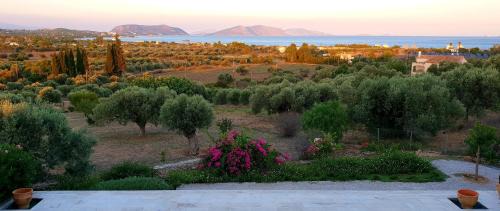 Kilada Villa | Villa Oliva