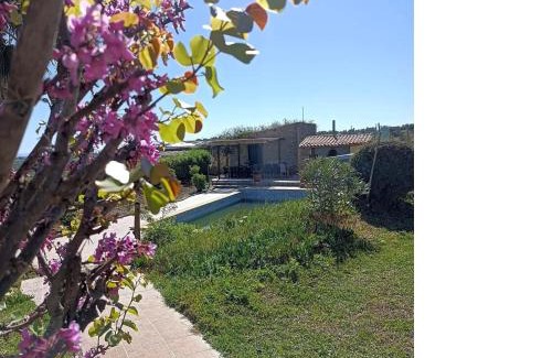 Niscemi Otro | Villa Oliva Torotto