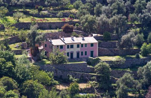 San Rocco Apartamento | Villa Olivari - apt il Cedro