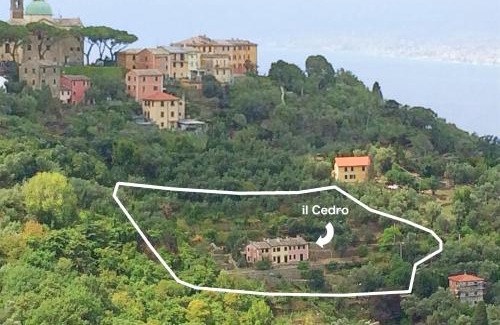 San Rocco Apartamento | Villa Olivari - apt il Cedro
