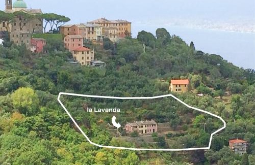 San Rocco Apartamento | Villa Olivari - apt la Lavanda
