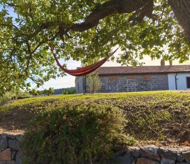 Boroneddu Casa | Villa Omodeo