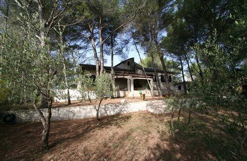 Teyran Villa | Villa en 2700m² de bosque de pinos situado en la cima de un pueblo mediterráneo