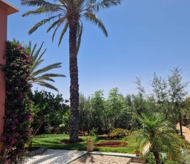 Dkhissa Casa | Villa Palmengarten Meknès bei Fes