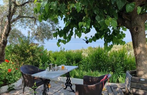 Argalasti Apartamento | Villa Panorama Garden Chorto