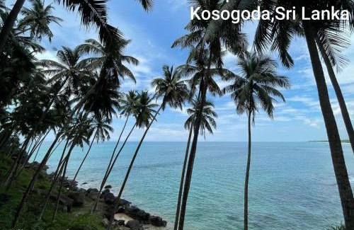 Kosgoda Casa | Villa Paradise Ocean