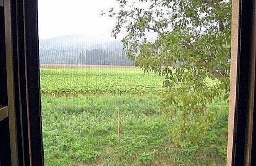 Montone Casa | Villa Pavone D: un estudio encantador rodeado de vegetación.