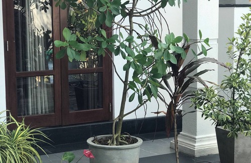 Kaduruduwa Villa | Villa Pearl Breeze