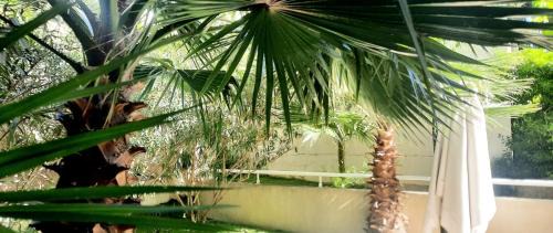 La Californie Apartamento | Villa Pearl