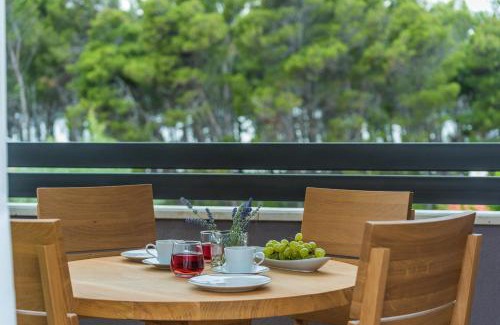 Privlaka Apartamento | Villa Petar's Dream