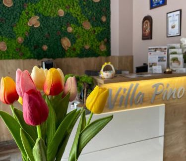 Velingrad Casa | Villa Pino