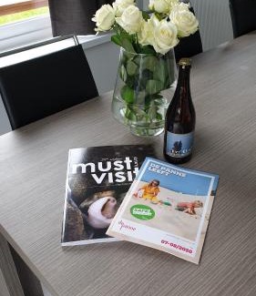 De Panne Casa | villa Pinson