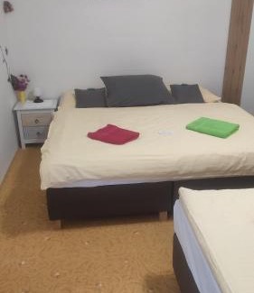 Lipova-Lazne Casa | Villa Plischke
