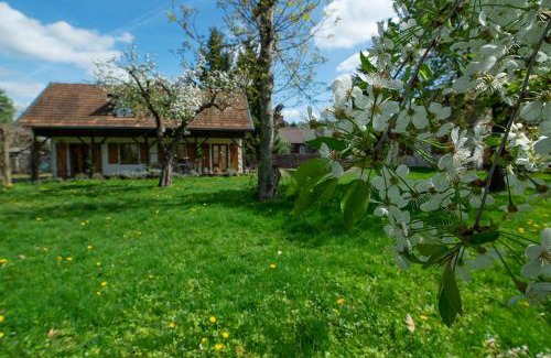 Kazimierz Dolny Apartamento | Villa Pod Koniem