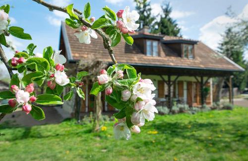Kazimierz Dolny Apartamento | Villa Pod Koniem