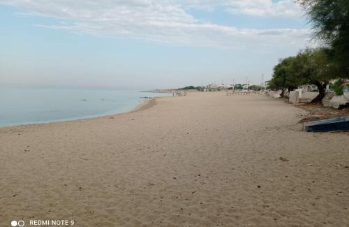 Torricella Villa | Villa Poseidone