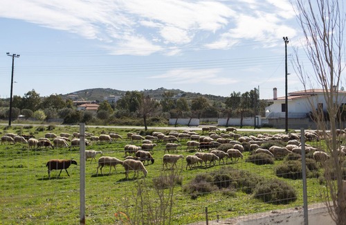 Ormos Agiou Ioannou Villa | Villa Ria Lujo, diversión y confort cerca de playas y puerto (aéreo)
