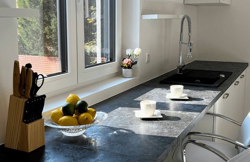 Ljubljana City Centre Apartamento | Villa Riverside - Modern & Spacious Family Suite