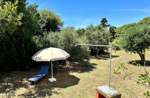 Povljana Apartamento | Villa Roseal