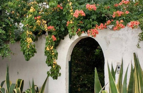 Castellaneta Villa | Villa Sara di Puglia, Casa de campo