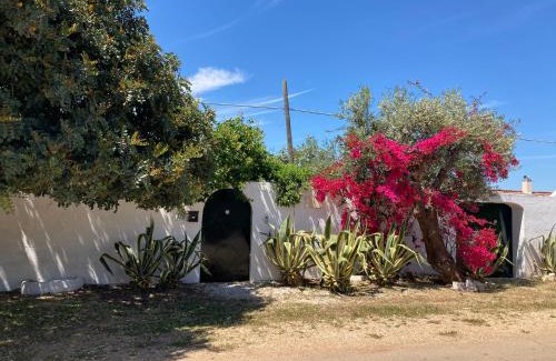 Castellaneta Casa | Villa Sara di Puglia
