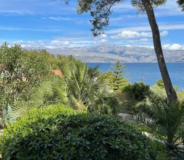 Postira Apartamento | Villa SARA