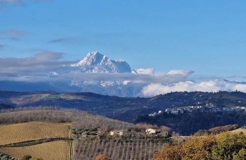 Castilenti Apartamento | Villa Savini Garten Appartment