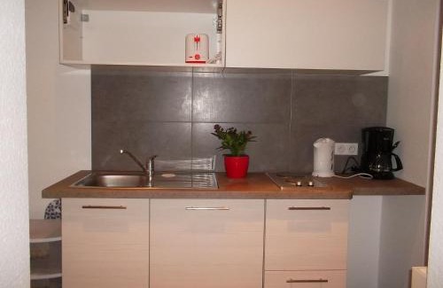 Orangerie Apartamento | Villa Schiller, 2 studios côté jardin - quartier Orangerie