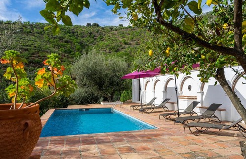 Daimalos Vados Casa | Villa Seymour