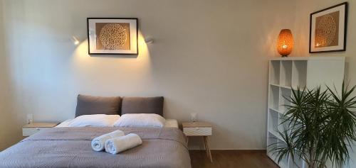 Kudowa Zdroj Apartamento | Villa Sjesta komfortowe apartamenty, prywatny parking, gratis parking w centrum miasta