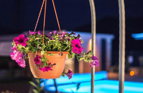 Omis Villa | Villa Sky D 9&1 with tennis court and heated pool