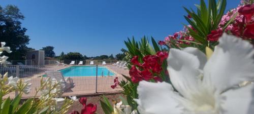 Lecci Casa | Villa "Sogno" Porto-Vecchio résidence riviera avec Piscine