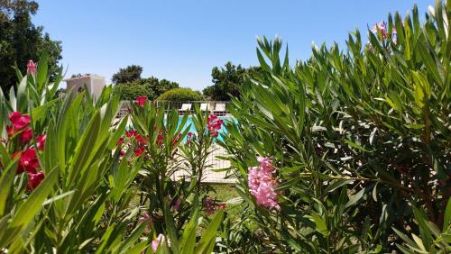 Lecci Casa | Villa "Sogno" Porto-Vecchio résidence riviera avec Piscine