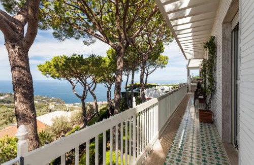 Schiazzano Villa | Villa Sole di Capri - Vista Mare