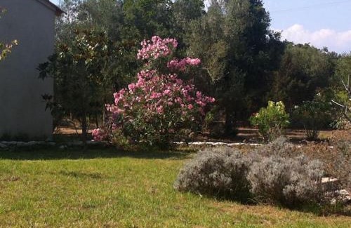 Bonifacio Villa | villa soleluna, villa de charme, lumineuse et cosy