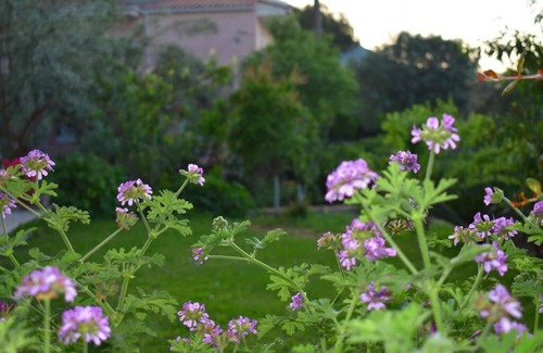 Agios Ioannis Casa | Villa Sunset Lefkas