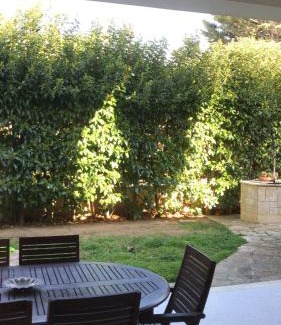Brindisi Cama Y Desayuno | Villa Susanna B E B