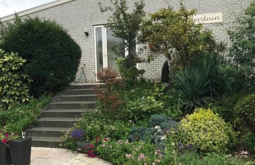 Wijk aan Zee Casa | Villa 't Haasduin