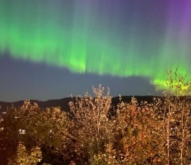 Lommedalen Apartamento | Villa Tara