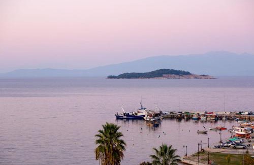 Olympiada Apartamento | Villa Theasi