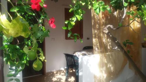 Scialara Apartamento | Villa Tiarè