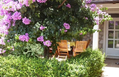 Babin Kuk Apartamento | Villa Timy